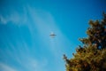 Lone plane passing by in a beautiful blue sky with trees in the foreground