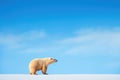 lone polar bear against blue arctic skies