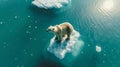 Lone polar bear on a small iceberg in the vast ocean. Wildlife in a changing climate. A serene, impactful environmental
