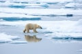 a lone polar bear walking on an ice floe