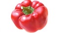 A lone red bell pepper stands out against a white backdrop, ideal for culinary applications Royalty Free Stock Photo