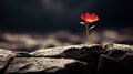 A lone red flower growing out of a rock formation, AI