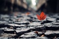 a lone red leaf sits on top of a pile of rocks