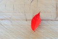 A lone red leaf on a wooden background, fall colors texture top view