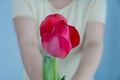 A lone red Tulip in the outstretched female hands