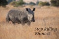 Lone rhino standing on open area looking for safety from with me