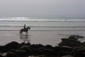 Lone rider on the beach Royalty Free Stock Photo