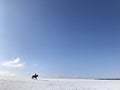 Lone rider on a black horse