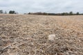 Rock laying in large field