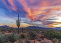 Lone Saguaro Cactus At Sunrise With  Mountain Background Royalty Free Stock Photo