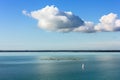 Lone Sail Boat in the Waters of Trieste Gulf Royalty Free Stock Photo