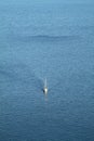 A lone sailboat in the deep blue Aegean Sea. Aerial shot. Royalty Free Stock Photo