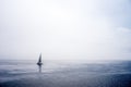 Lone sailing boat in Menai Strait