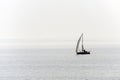 Lone sailing yacht