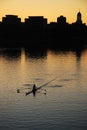 Lone sculler Royalty Free Stock Photo