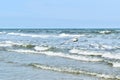 Lone Seagull Flying Over Atlantic Ocean With Blue Waves and Sky Royalty Free Stock Photo