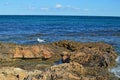 A Lone Seagull Sitting On Rocks By The Sea