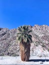 A Lone Sentinel Beside The Bear Creek Trail Royalty Free Stock Photo