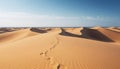 Desert Footprints Royalty Free Stock Photo
