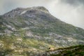 A Lone sheep on mountain Royalty Free Stock Photo