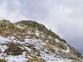 Lone sheep on snowy rocky area