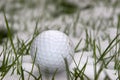 A lone single golf ball in the snow