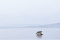 Lone single one seal at peace resting on rock in the sea ocean