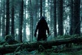 A lone sinister hooded figure looking at the camera standing in a spooky forest in winter. With a dark moody edit