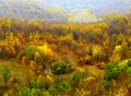 Lone small house in autumn forest