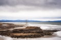 A lone Snag at North Cove Bay Royalty Free Stock Photo