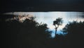 Lone spiny tree silhouetted against the  twilight sky reflections over lake Potrero de los Funes, in San Luis, Argentina. Royalty Free Stock Photo