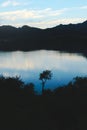 Lone spiny tree silhouetted against the twilight sky reflections over lake Potrero de los Funes, in San Luis, Argentina.