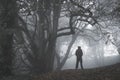 A lone spooky hooded figure standing on a path in a winter forest on a foggy day. With a muted, grainy edit Royalty Free Stock Photo