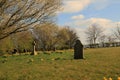 Lone standing headstones