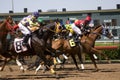 Lone Star Park Races 1