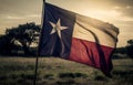 Lone Star State Texas, USA Royalty Free Stock Photo