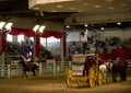 Cowboy ride horse with flag at Lone star stampede show