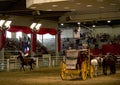 Cowboy ride horse with flag at Lone star stampede show Royalty Free Stock Photo