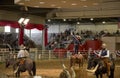 Nice Lone star stampede show at State Fair Texas 2017