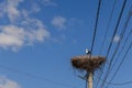 A lone stork Ciconia ciconia stands in a nest made on top of an electric pole against the blue sky Royalty Free Stock Photo