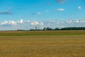 A lone stork flies over a meadow at the edge of the forest