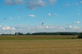 A lone stork flies over a meadow at the edge of the forest