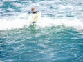 Surfing at Maukatia Maori Bay and Muriwai Beach, , Auckland, New Zealand Royalty Free Stock Photo