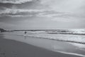 Lone surfer walks into the ocean to catch a wave. Portugal.