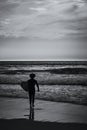 Lone surfer walks into the ocean to catch a wave. View on an Atlantic coast and dramatic cloudy sky at sunset. Lisbon, Portugal.