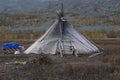 The lone tent of reindeer with sleds.