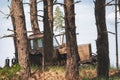 A lone timber harvesting tractor is driving through a forest woods between the trees