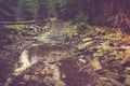 Lone traveler moving across the mountain river.