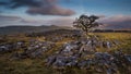 Lone tree above Settle in Yorkshire Dales Royalty Free Stock Photo