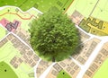 Lone tree against an imaginary General Urban Plan with urban destinations roads, and buildable areas Royalty Free Stock Photo